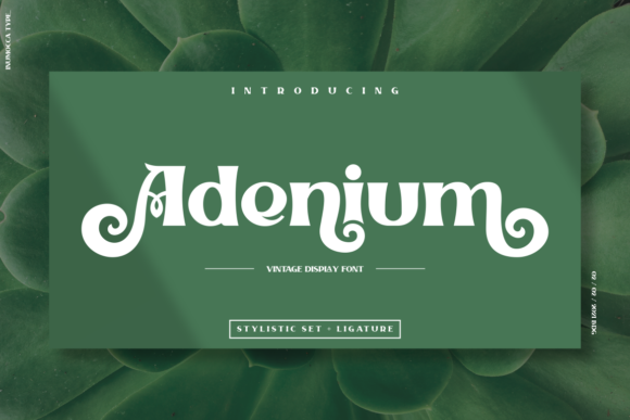 Adenium Font for Branding: A Stylish Upgrade for Small Businesses